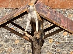 -济南野生动物世界