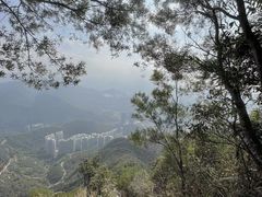 -梧桐山风景名胜区