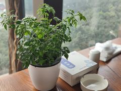 -蜀宴·家宴馆(升伟晶石店)