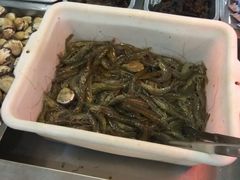 -春华海鲜城(广场西苑店)