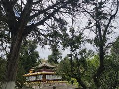 -罗布林卡