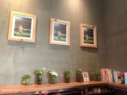 -iplus爱家高端孕妇摄影