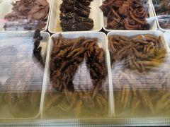 -紫燕百味鸡(南池店)