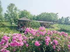 -尚贤河湿地