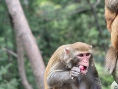 -重庆雨台山风景区