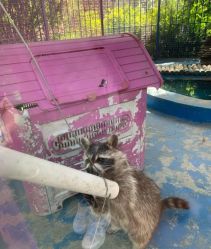 -萌宠亲子动物乐园(槐房万达店)