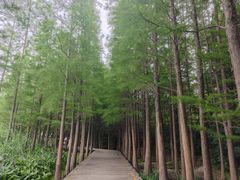 -云龙湖旅游景区