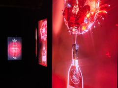 -精绝七日-新疆尼雅遗址数字大展【拉法耶文化艺术中心】