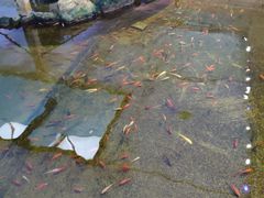 -鸿通城购物中心