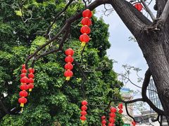 -广州神农草堂中医药博物馆
