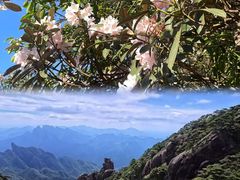 -三清山风景名胜区