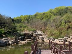 -北京西山国家森林公园