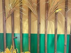 -蜀川川破店·江湖菜·烧烤(北京首店)
