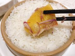 -丰宝源客家菜(常平店)