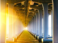 -宝安西湾红树林湿地公园