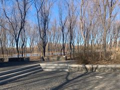 -东郊湿地公园