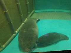 -泉城欧乐堡海洋极地世界
