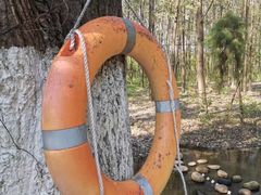 -合肥滨湖国家森林公园