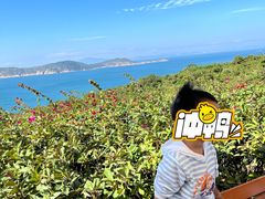 -东澳岛