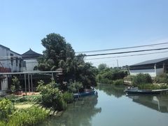 -莲花岛景区