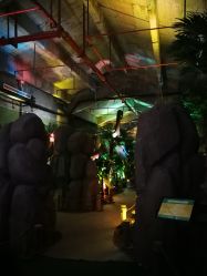 -恐龙探索乐园(磁器口店)