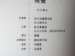 -新加坡航空公司(ION)