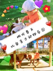 -萌宠亲子动物乐园(槐房万达店)