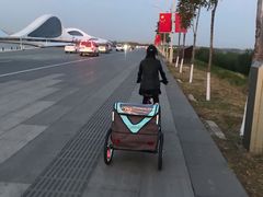 -哈尔滨大剧院