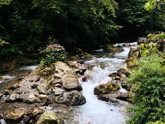 -西岭雪山大飞水景区
