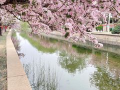 -海棠花溪(元大都城垣遗址公园)