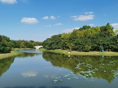 景点-上海海湾国家森林公园