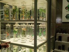 -北京中医药大学-中医药博物馆