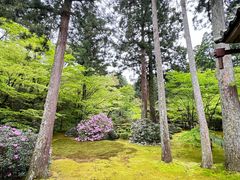 -三千院