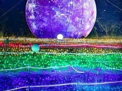 -广西壮族自治区药用植物园