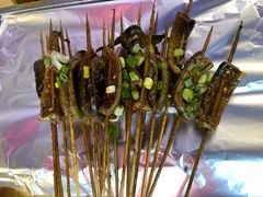 鳝鱼-晓靖轩烧烤(沙河风情店)