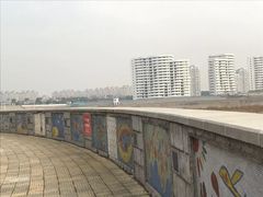 -奉贤海滩