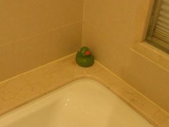 洗浴间-上海浦东康桥绿地假日酒店