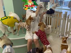 -怪兽屋·羊驼·猫咖·狗咖(俊华广场店)