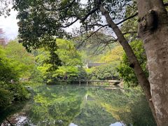 -西湖游船