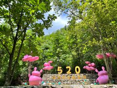 -萍乡武功山风景名胜区