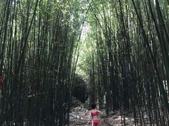 -井空里大峡谷
