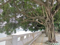 -仑头海鲜城(仑头环村南路店)
