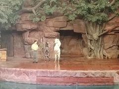 -长鹿旅游休博园