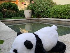 -郑州银基黄帝宫御温泉