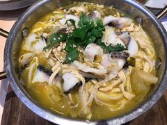 酸汤鱼锅锅粉-俏凤凰(美林M·LIVE天地东座店)