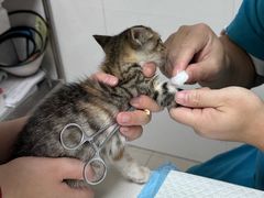 -宠颐生汉谟拉比宠物医院