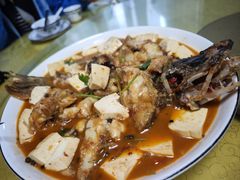 -煲来饱去冷水鱼