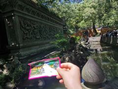 -普陀山风景名胜区-法雨禅寺