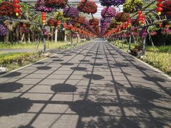 -东平国家森林公园