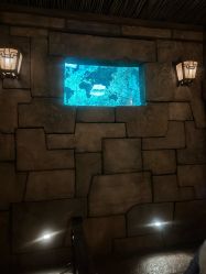 -翱翔飞越地平线